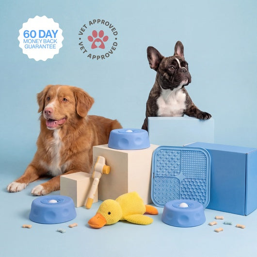 The Oniarapaw Bowl 2.0 Calms Any Anxious Dog in Under 3 Minutes.