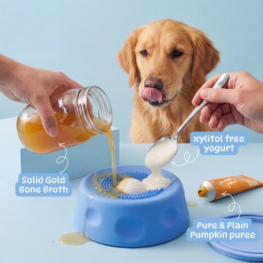 The Oniarapaw Bowl 2.0 Calms Any Anxious Dog in Under 3 Minutes.