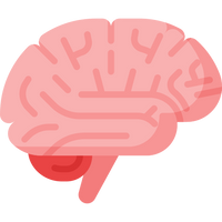 Easy to Clean Natural Endorphin Release No Pills